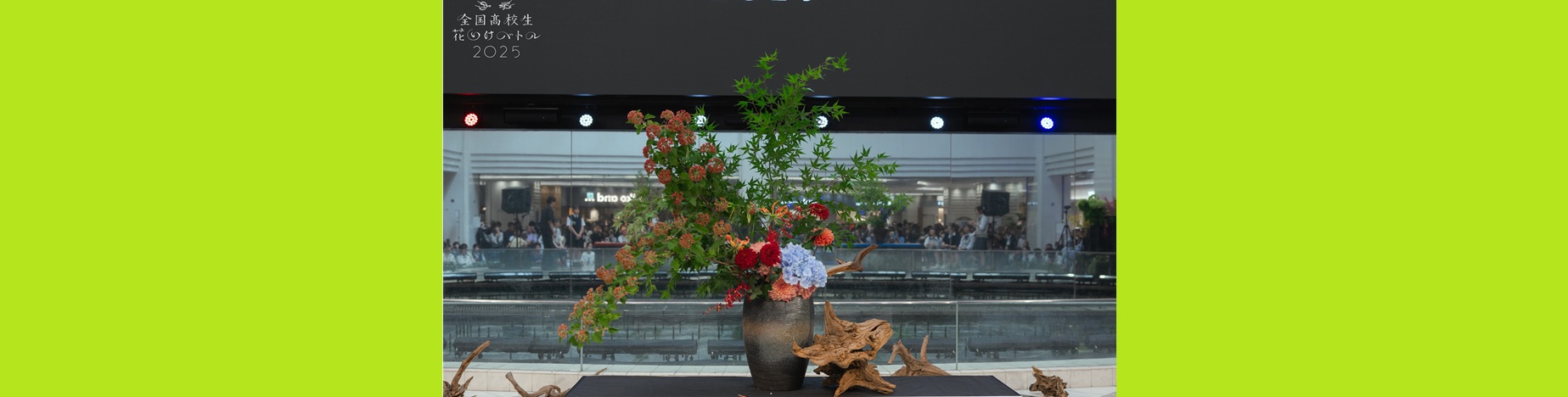 全国高校生花いけバトル2025🦖