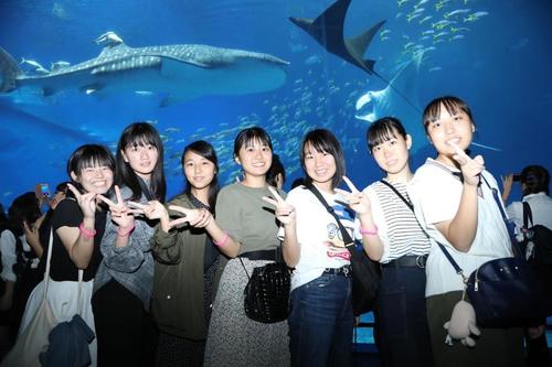 美ら海　水族館.jpg